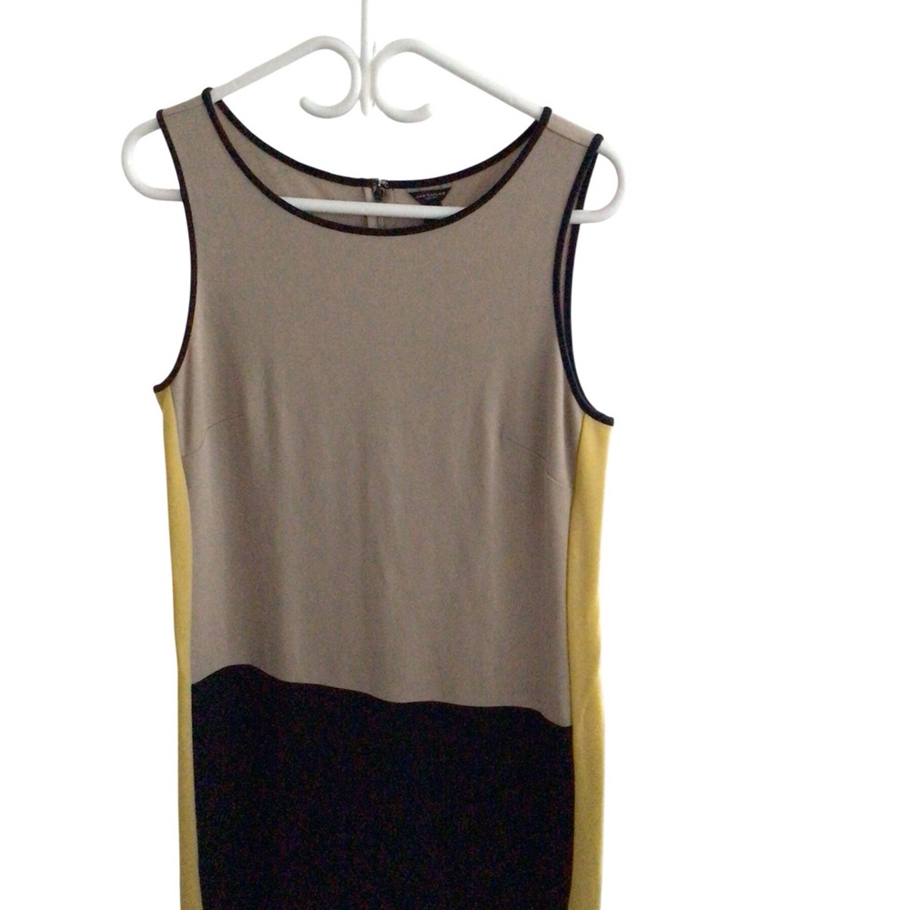 Ann Taylor Stylish Colorblock Sleeveless Dress